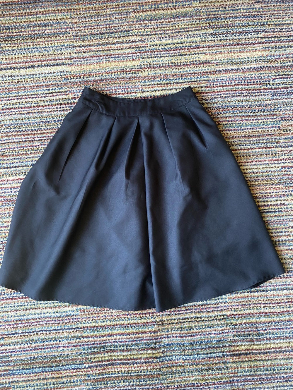 Black pleated circle skirt